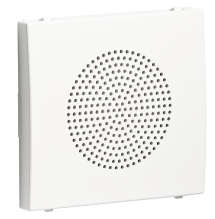 Cover Plate for Loudspeaker of 2”